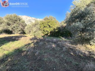 Οικόπεδο 2.452,49 τ.μ. για πώληση, Ν. Σάμου, Σάμος-thumb-7