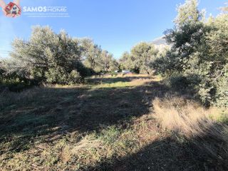 Οικόπεδο 2.452,49 τ.μ. για πώληση, Ν. Σάμου, Σάμος-thumb-8