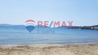 Αγροτεμάχια 3.284 τ.μ. για πώληση