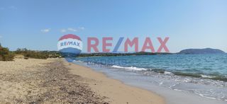 Αγροτεμάχια 4.025 τ.μ. για πώληση