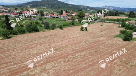 Οικόπεδο 5.965 τ.μ. προς πώληση