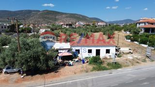 Κατάστημα 72 τ.μ. προς πώληση, Άστρος-thumb-10