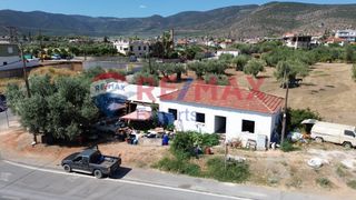 Κατάστημα 72 τ.μ. προς πώληση, Άστρος-thumb-18