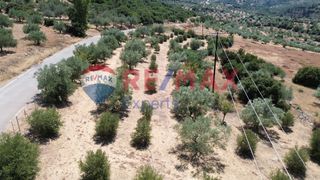 Αγροτεμάχια 4.108,20 τ.μ. για πώληση
