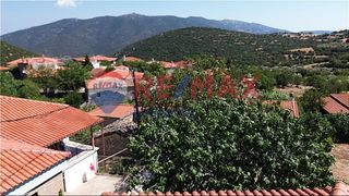 Οικόπεδο 405 τ.μ. προς πώληση, Καρυά Λυρκείας-thumb-7