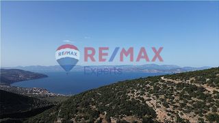 Αγροτεμάχια 4.526 τ.μ. για πώληση