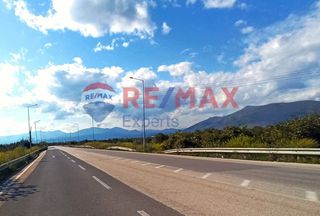 Αγροτεμάχια 1.117 τ.μ. προς πώληση, Αγία Τριάδα Μιδέας-thumb-7
