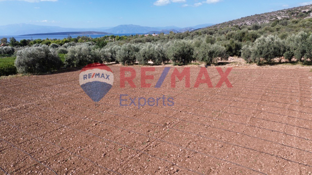 Αγροτεμάχια 5.360 τ.μ. προς πώληση, Κάντια