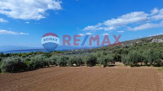 Αγροτεμάχια 5.360 τ.μ. προς πώληση, Κάντια-thumb-15