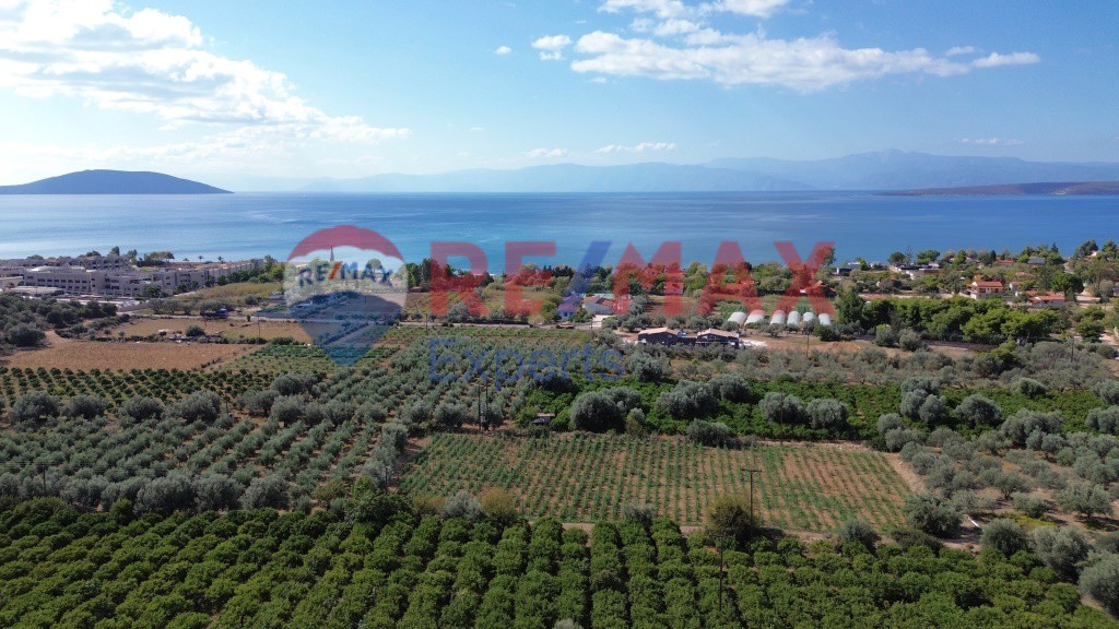 Αγροτεμάχια 5.360 τ.μ. προς πώληση, Κάντια