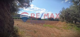 Αγροτεμάχια 5.360 τ.μ. προς πώληση, Κάντια-thumb-7