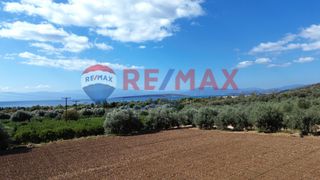 Αγροτεμάχια 5.360 τ.μ. προς πώληση, Κάντια-thumb-14