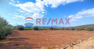 Αγροτεμάχια 5.360 τ.μ. προς πώληση, Κάντια-thumb-5