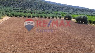 Αγροτεμάχια 5.360 τ.μ. προς πώληση, Κάντια-thumb-19