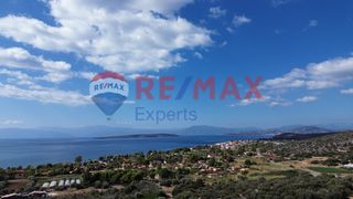 Αγροτεμάχια 5.360 τ.μ. προς πώληση, Κάντια-thumb-13