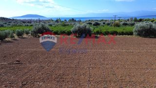 Αγροτεμάχια 5.360 τ.μ. προς πώληση, Κάντια-thumb-17