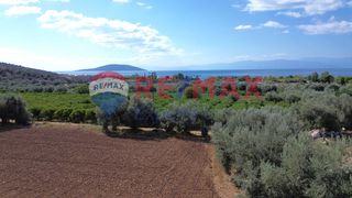 Αγροτεμάχια 5.360 τ.μ. προς πώληση, Κάντια-thumb-20