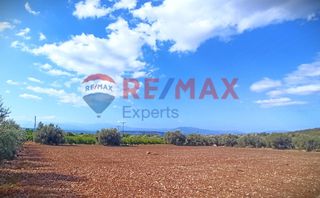 Αγροτεμάχια 5.360 τ.μ. προς πώληση, Κάντια-thumb-23