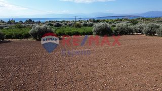 Αγροτεμάχια 5.360 τ.μ. προς πώληση, Κάντια-thumb-18