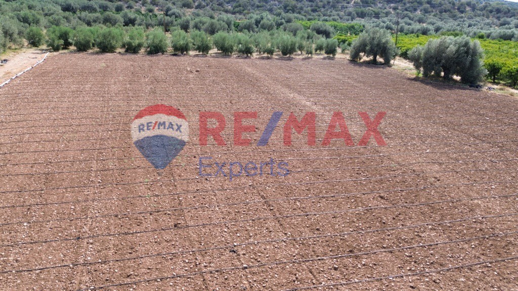 Αγροτεμάχια 5.360 τ.μ. προς πώληση, Κάντια