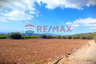 Αγροτεμάχια 5.360 τ.μ. προς πώληση, Κάντια-thumb-22