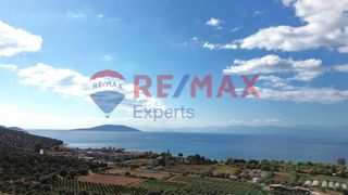 Αγροτεμάχια 5.360 τ.μ. προς πώληση, Κάντια-thumb-9