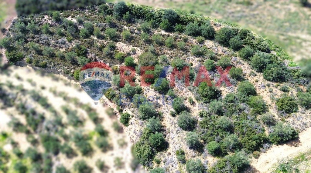 Αγροτεμάχια 3.500 τ.μ. προς πώληση, Πυργιώτικα