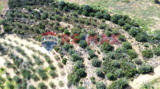 Αγροτεμάχια 3.500 τ.μ. προς πώληση, Πυργιώτικα-thumb-1
