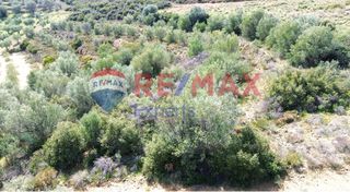 Αγροτεμάχια 3.500 τ.μ. προς πώληση, Πυργιώτικα-thumb-11