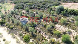 Αγροτεμάχια 3.500 τ.μ. προς πώληση, Πυργιώτικα-thumb-6
