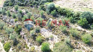 Αγροτεμάχια 3.500 τ.μ. προς πώληση, Πυργιώτικα-thumb-7
