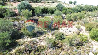 Αγροτεμάχια 3.500 τ.μ. προς πώληση, Πυργιώτικα-thumb-9