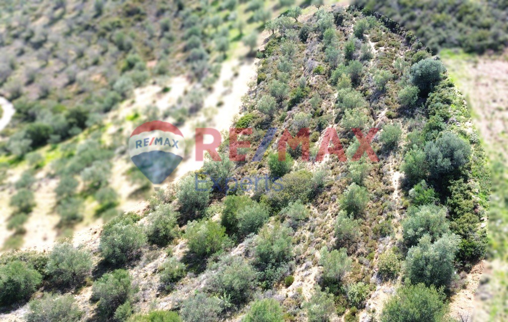 Αγροτεμάχια 3.500 τ.μ. προς πώληση, Πυργιώτικα