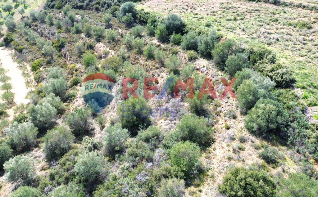 Αγροτεμάχια 3.500 τ.μ. προς πώληση, Πυργιώτικα