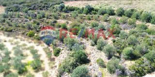 Αγροτεμάχια 3.500 τ.μ. προς πώληση, Πυργιώτικα-thumb-8