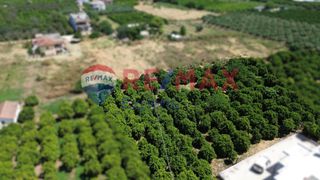 Οικόπεδο 2.560 τ.μ. για πώληση, Αργολίδα, Άργος-thumb-4