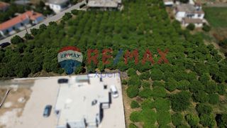 Οικόπεδο 2.560 τ.μ. για πώληση, Αργολίδα, Άργος-thumb-3