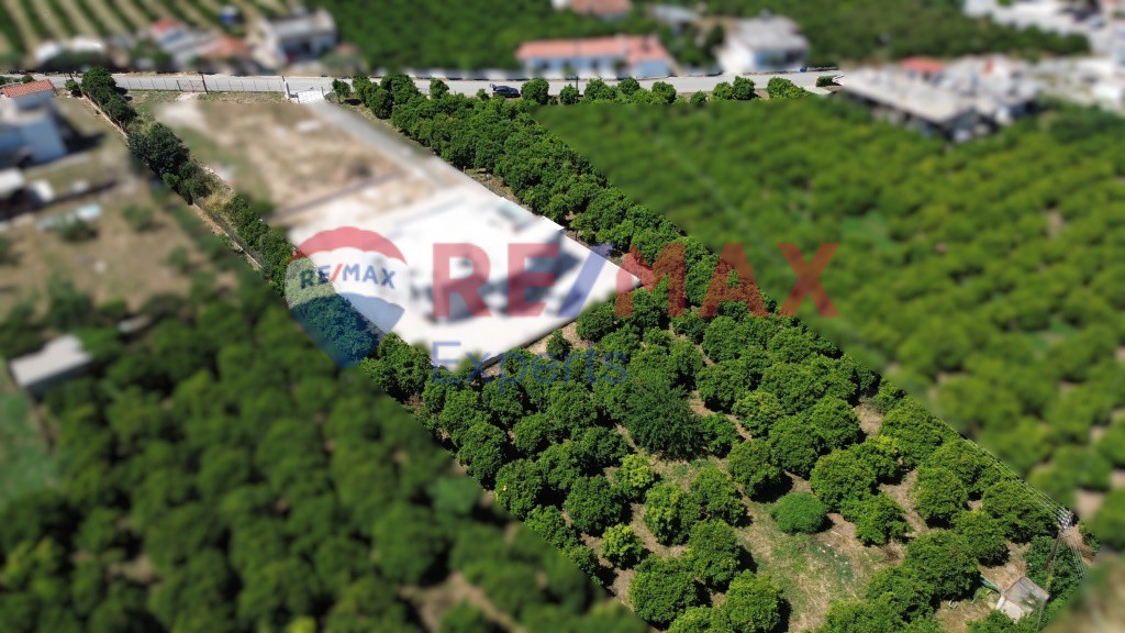 Οικόπεδο 2.560 τ.μ. προς πώληση, Κέντρο Άργους