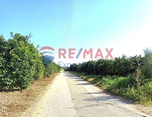 Αγροτεμάχια 2.310 τ.μ. για πώληση, Αργολίδα, Μιδέα-thumb-5
