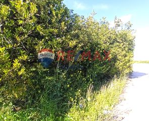 Αγροτεμάχια 624 τ.μ. για πώληση, Αργολίδα, Μιδέα-thumb-5