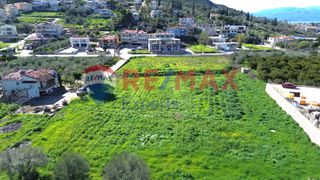 Αγροτεμάχια 6.630 τ.μ. για πώληση