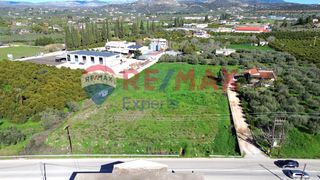 Αγροτεμάχια 6.630 τ.μ. για πώληση, Αργολίδα, Ναύπλιο-thumb-2