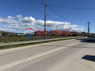 Αγροτεμάχια 6.630 τ.μ. για πώληση, Αργολίδα, Ναύπλιο-thumb-5