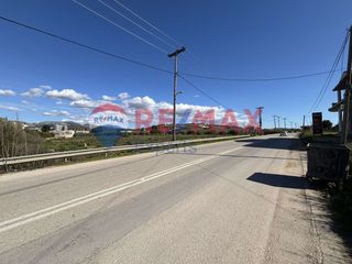 Αγροτεμάχια 6.630 τ.μ. για πώληση, Αργολίδα, Ναύπλιο-thumb-3