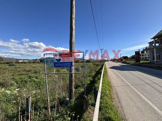 Αγροτεμάχια 6.630 τ.μ. για πώληση, Αργολίδα, Ναύπλιο-thumb-4