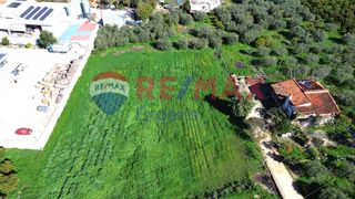 Αγροτεμάχια 6.630 τ.μ. για πώληση, Αργολίδα, Ναύπλιο-thumb-9