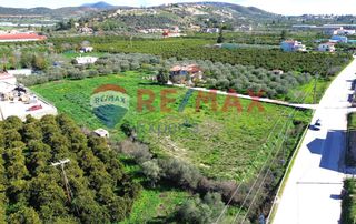 Αγροτεμάχια 6.630 τ.μ. για πώληση, Αργολίδα, Ναύπλιο-thumb-7