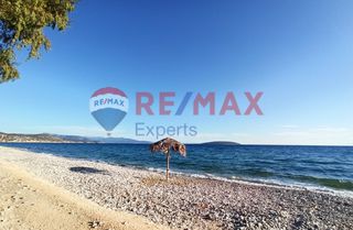 Οικόπεδο 4.842 τ.μ. για πώληση, Αργολίδα, Ασίνη-thumb-6