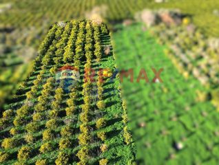Οικόπεδο 4.842 τ.μ. για πώληση, Αργολίδα, Ασίνη-thumb-2