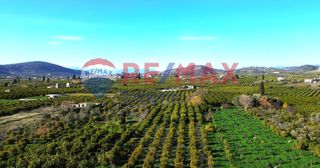 Οικόπεδο 4.842 τ.μ. για πώληση, Αργολίδα, Ασίνη-thumb-1